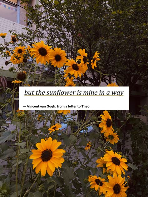 Positive Parenting Quotes, Sunflower Quotes, Sunflower Photography, Environment Painting, Phone Photo Editing, Diy Crafts Bookmarks, Van Gogh Sunflowers, Flowery Wallpaper, Nothing But Flowers