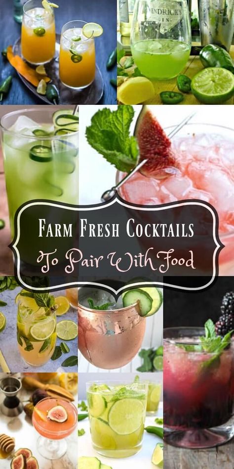 Late Summer Cocktails, Fresh Cocktails, Craft Cocktail Recipe, Fall Farm, Farm Fresh Recipes, Craft Cocktail, Happy Hour Cocktails, Fresh Recipes, Best Cocktail Recipes