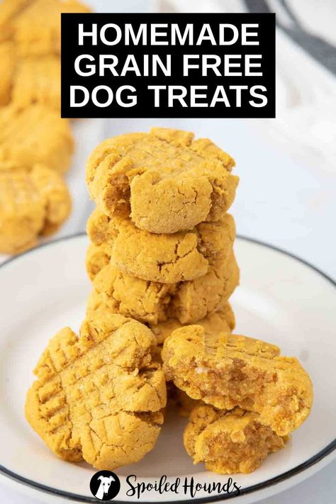 Homemade Grain Free Dog Treats are made with coconut flour, tapioca flour, pumpkin puree, peanut butter, and egg. Get the easy recipe and find out how to make the best grain free treats for dogs. These DIY dog treats have healthy, simple, and dog-safe ingredients. They’re gluten free, dairy free, and great for dogs with a wheat allergy. Healthy Dog Treats Homemade Grain Free, Grain Free Dog Treat Recipes Easy, Peanut Butter Dog Treats Recipes, Recipes For Dog Food Home Made, Grain Free Dog Treats Homemade, Gluten Free Dog Treats Homemade, Homemade Soft Dog Treats, Grain Free Dog Treat Recipes, Dog Treats With Pumpkin