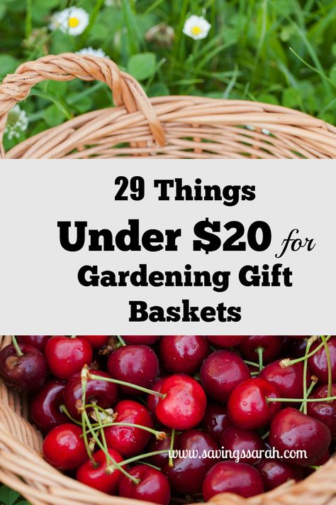 Have friends or family who are big fans of gardening? Then fill Gardening Gift Baskets from these 29 products under $20. Gifts that will keep them growing. Garden Gift Basket, Auction Gift Basket Ideas, Gardening Gift Baskets, Boyfriend Gift Basket, Herb Garden Kit, Bonsai Seeds, Garden Basket, Gardening Gifts, April Fool's Day