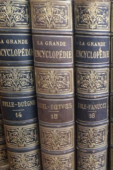 Three books bound in brown leather with gold leaf in patterns and titles, reading "La Grande Encyclopedie" books 14, 15, and 16. Old Yearbook Aesthetic, Encyclopedia Aesthetic, Academia Aesthetic Library, Gold Dark Academia, Old Books Aesthetic Dark, Old Library Aesthetic Dark Academia, Old History Books Aesthetic, Stephanie Core, 100 Dark Academia Books