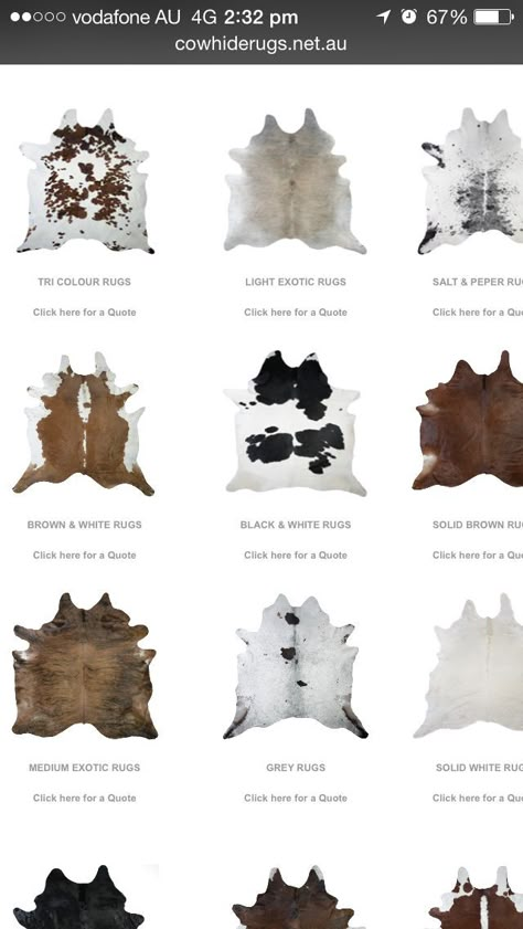 Nguni Decor Living Rooms, Cow Skin Rug Living Room, Cow Hide Rug Living Room, Cow Rug Living Room, Cow Carpet, Cowhide Rug Living Room, Cow Hide Rugs, Cow Rug, Cow Skin Rug