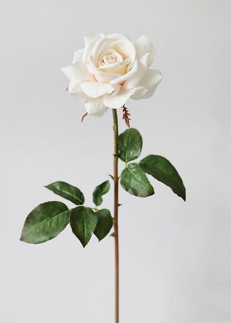 Rose Display, Rose Reference, Flower References, Rose Flower Photos, Fake Hydrangeas, Silk Wedding Bouquets, Rose Flower Pictures, Silk Flowers Wedding, Real Touch Flowers