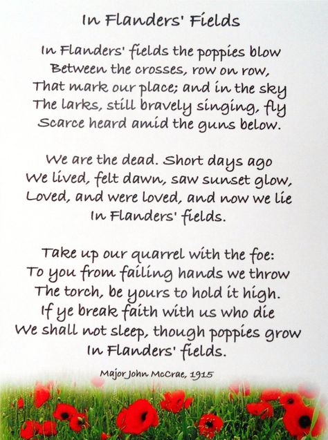 In Flanders Fields poem Flanders Fields Poem, Poppies Poem, Remembrance Day Poems, In Flanders Fields, Remembrance Day Art, John Mccrae, 5th Grade Social Studies, Flanders Field, Armistice Day