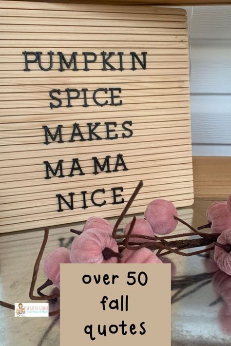 Fall Memo Board Quotes, Funny Letter Board Ideas Short, Fall Letter Board Ideas, Fall Letterboard Quotes, Short Fall Quotes, Letter Board Sayings, Fall Letterboard, Fall Letter Board, Campfire Quotes