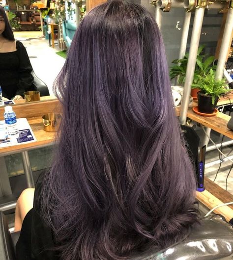 Hair Dye Over Dark Hair, Ash Purple Highlights On Black Hair, Purple In Dark Hair, Highlight Purple Hair, Dark Purple Hair Korean, Purple Hue Hair, Dull Purple Hair, Dark Purple Hair Ideas, Purple Hair Dye For Dark Hair