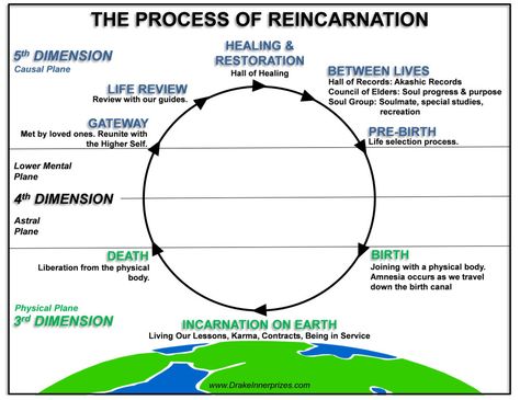 The Process of Reincarnation & the State of the Afterlife | Bear With Me Anecdotal Records, Soul Awakening, Soul Cleansing, Sacred Science, Life Review, Astral Plane, Past Life Regression, Conscious Awareness, Yoga Wellness