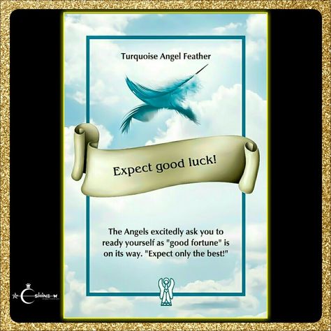 Angel Answers Oracle Cards, Earth Quotes, Angel Feather, Win For Life, Healing Angels, Soul Mate Love, Angel Oracle Cards, Angel Feathers, Best Positive Quotes