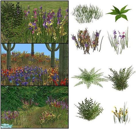 New plant set, contains 8 meshes and 27 various recolors. Recolors come in regular and "desert" versions - desert version has brighter flowers and duller foliage than the regular... Big Potted Plants, Front Lawn Landscaping, Outside Plants, Sims 4 Expansions, Outdoor Trees, Sims 4 Teen, Sims 4 Cc Packs, Sims 4 Cc Furniture, Outdoor Flowers