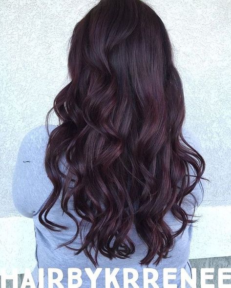 Plum Brown Hair, Merlot Hair Color, Pelo Color Vino, Hair Color Plum, Plum Hair, Wine Hair, Red Hair Inspo, Cherry Hair, Violet Hair