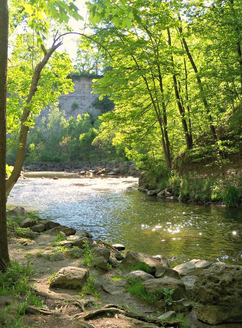 Irondequoit Creek - Penfield, NY Travel Inspiration Destinations, Fantasy Forest, Weird Dreams, Late Afternoon, Pretty Plants, Nature Aesthetic, Beautiful Places To Visit, Pretty Places, Green Aesthetic