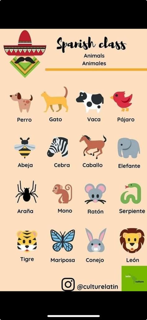 Spanish Vocabulary Flashcards, Spanish Lesson Plans For Preschoolers, Spanish Posters For Classroom, Spanish Seasons, Simple Spanish Words, Spanish Classroom Posters, Animals In Spanish, Preschool Spanish Lessons, Spanish Homework