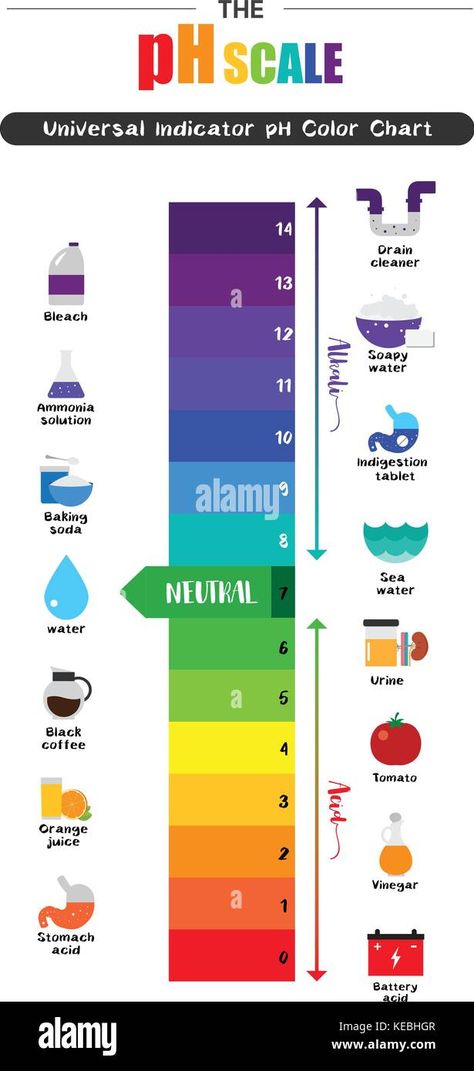 Ph Chart, Ph Scale, Printable Fish, Fish Printables, Flat Design Icons, Illustration Flat, Ph Level, Ph Levels, Drain Cleaner