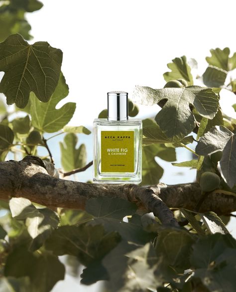 ACCA KAPPA 🍃 NEW!
Meet White Fig & Cashmere... a refined Mediterranean fragrance that captures the essence of hot Italian summers. An olfactory journey that evokes a relaxing afternoon in the heady shadow of the fig tree. Find it on our online store at saison.com.au


#accakappa #new #newarrival #whitefigandcashmere #fig #perfume #eaudeparfum #perfumery #nicheperfume #fragrance #madeinitaly #distributedbysaison Fig Perfume, Acca Kappa, The Fig Tree, Niche Perfume, Italian Summer, Fig Tree, Fig, Cashmere, Essence