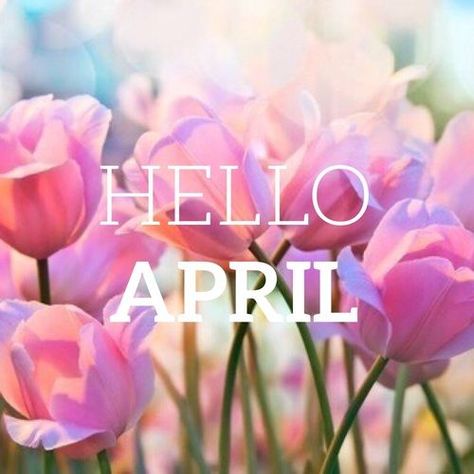 Hello April April Images, Hello New Month, Neuer Monat, April Quotes, Months And Seasons, Month Quotes, Hello April, Seasons Months, Season Quotes