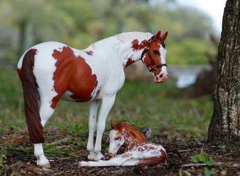 Horse love Western Pleasure Horses, Bryer Horses, Horse Show Clothes, Barrel Racing Horses, Quarter Horses, Custom Horse, All The Pretty Horses, Toy Horse, Breyer Horses