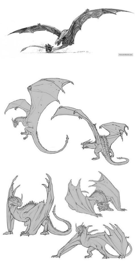 Art Mythical Creatures, Dragon Poses, Gfx Design, Dragon Sketch, Creatures Art, Creature Drawings, Dragon Pictures, Monster Concept Art, Fantasy Creatures Art