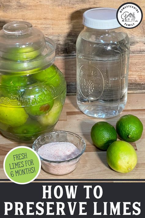 Canning Kitchen, Fermentation Crock, Storing Fruit, Fermentation Recipes, Water Bath Canning, Summer Produce, Lime Salt, Preserved Lemons, Pressure Canning