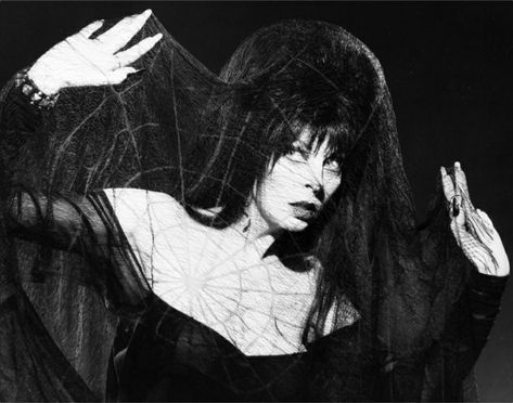 Elvira Movies, Cassandra Peterson, Elvira Mistress Of The Dark, 80s Horror, Goth Women, Goth Aesthetic, Emo Scene, Drawing Reference Poses, Aesthetic Photo