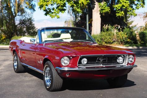 1968 Ford Mustang Convertible (Royal Maroon, C-code, 289ci V8, 3-speed auto) Holley Carburetor, Mustang Logo, 1968 Ford Mustang, Ford Mustang Convertible, Am Radio, Mustang Convertible, Hydraulic Cylinder, Bucket Seats, Classic Cars Online