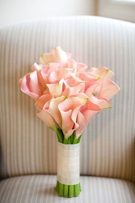 Calla Lily Wedding Flowers, Pink Calla Lilies, Calla Lily Bouquet Wedding, Calla Lily Wedding, Calla Lily Bouquet, Summer Wedding Bouquets, Lily Wedding, Beautiful Wedding Flowers, Lily Bouquet