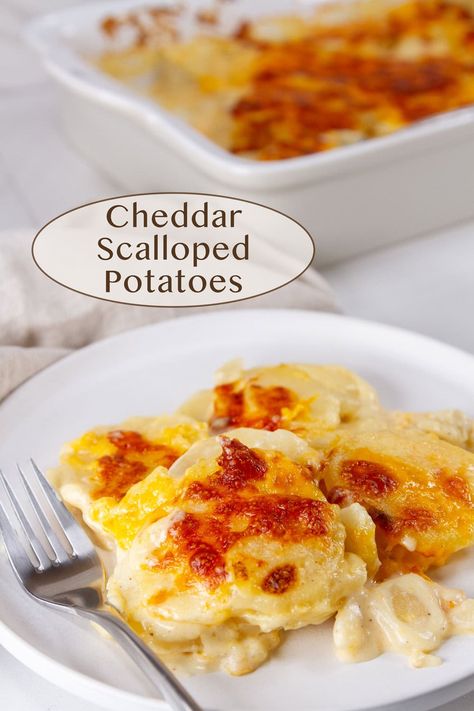 Tender, creamy Cheddar Scalloped Potatoes are a welcome indulgence around the holidays. This easy to make recipe is much quicker than most, so that these potatoes can be made for weeknight dinners as well. Cheddar Scalloped Potatoes, Creamy Potato Bake, Au Gratin Potato Recipes, Au Gratin Recipes, What's For Supper, Potatoes Au Gratin, Potato Recipes Side Dishes, Recipes Side Dishes, Scalloped Potatoes