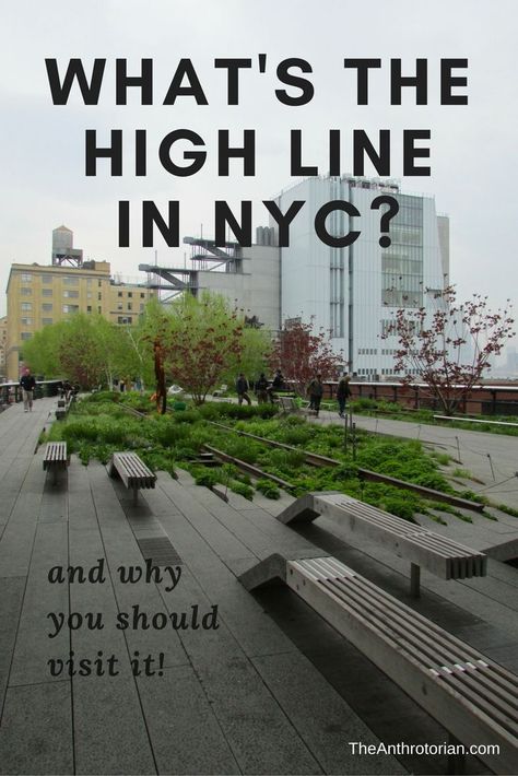 What's The High Line In New York City and Why Should You Visit It? High Line Park New York, The High Line Nyc, High Line New York, New York High Line, Upstate Ny Travel, The Highline, Visit New York City, Nyc Travel, York Travel