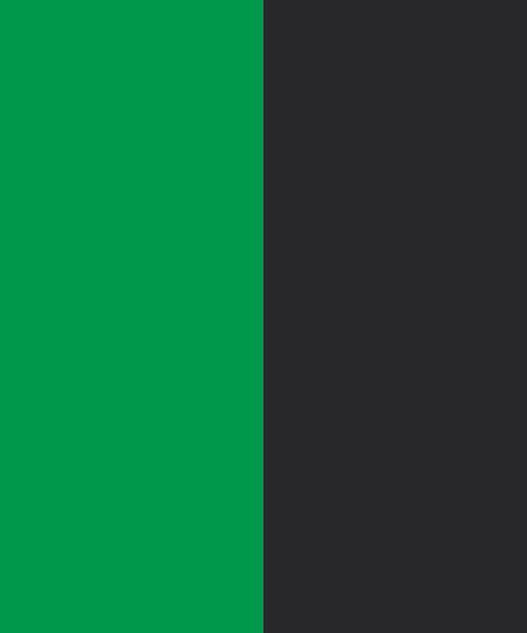 Green Words Color Palette Green Black Color Scheme, Green And Black Color Palette, Green Words, Black Green Color, Green Branding, Hexadecimal Color, Green Name, Black Color Palette, Green Snake