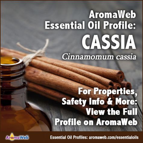 Cassia Essential Oil Profile Diy Diffuser Blends, Cassia Essential Oil, What To Watch, Essential Oil Benefits, Oil Benefits, Oil Uses, Essential Oil Uses, Doterra Essential Oils, Diffuser Blends