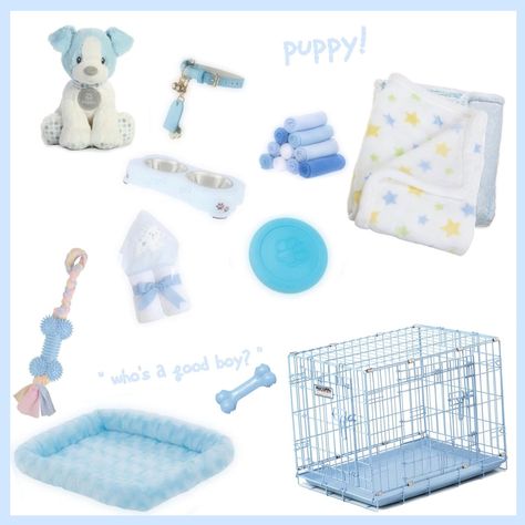 Blue Puppycore, Petregre Puppy, Pup Regressor, Pet Regressor Puppy, Puppyboy Aesthetic, Pet Regre, Puppy Regressor, Puppy Boy Pfp, Pet Regressor