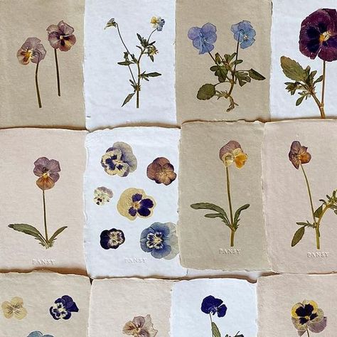 Pressed Pansy Art, Pressed Pansies, Pressed Flowers Art, Flower Bar, Pansies Flowers, Pressed Flower Art, Pansies, Pressed Flowers, Art Studio