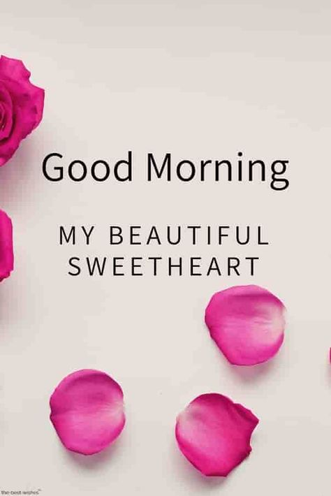 Romantic Good Morning Quotes, Good Morning Romantic, Latest Good Morning Images, Morning Quotes For Friends, Love Good Morning Quotes, Latest Good Morning, Morning Sweetheart, Good Morning Images Download, Good Morning Sweetheart Quotes