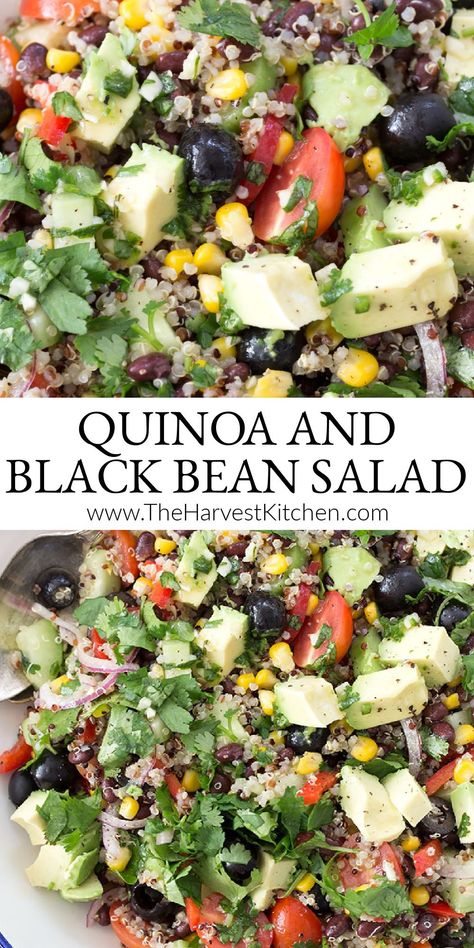 Quinoa Cilantro Salad, Vegan Mexican Salad, Lime Quinoa Salad, Quinoa Salad Dressing, Quinoa Black Bean Salad, Salad With Black Beans, Quinoa Salads, Mexican Quinoa Salad, Veggie Salads