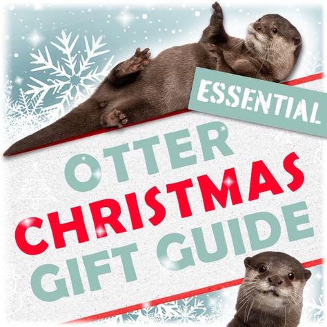 Welcome to my official Otter News Christmas gift guide! A collection of my favorite Otter stuff on the internet. I’ll hopefully be adding more soon, and I’m also making a stocking filler version so watch this space! Note these are affiliate links. #10 Otter Patronus Pocket Watch/Necklace Definitely one of the most Otter Patronus, Otter Necklace, Otter Gifts, Top 10 Christmas Gifts, Pocket Watch Necklace, Watch This Space, Christmas Gift Guide, Stocking Filler, Stocking Fillers