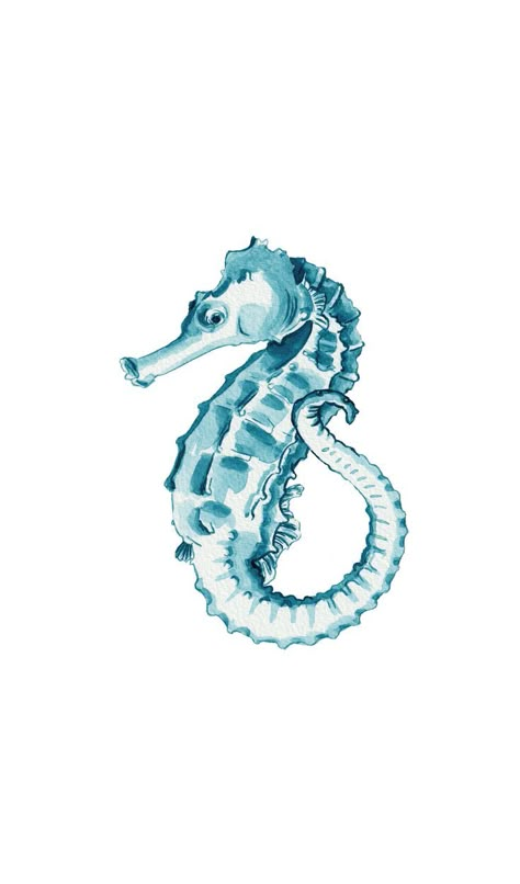 Seahorse painted in blue ink Seahorse Illustration, Watercolour Food, Seahorse Painting, Blue Room Decor, Steven Rhodes, Blue Drawings, Beach Icon, Cute Summer Wallpapers, Object Design