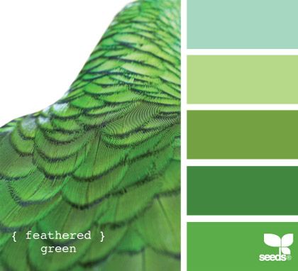 feathered green Art Notes, Seeds Color, Green Parrot, Color Concept, Colors Combinations, Interior Colors, Palette Design, Colour Theory, Coloring Inspiration