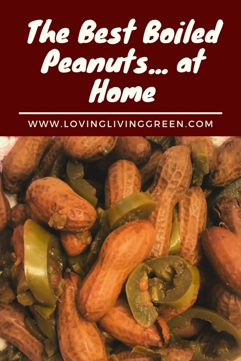 Pickle Boiled Peanuts Recipe, Cajun Peanuts Recipe, Lemon Pepper Boiled Peanuts Recipe, Ranch Boiled Peanuts Recipe, Homemade Boiled Peanuts Crockpot, Dill Pickle Boiled Peanuts Recipe, Spicy Boiled Peanuts Recipe Crockpot, Flavored Boiled Peanuts Recipe, Boiled Peanuts Recipe Stovetop