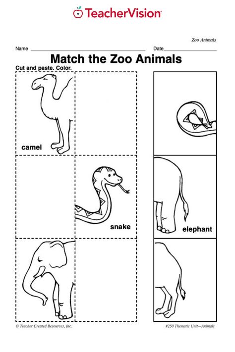 Animal Lesson Plans For Toddlers, Zoo Animal Lesson Plans Preschool, Pre K Zoo Activities, Zoo Animals Preschool Activities Free, Zoo Animal Crafts For Toddlers, Math Zoo Activities Preschool, Zoo Theme Activities, Zoo Activities For Kids, Zoo Crafts Preschool