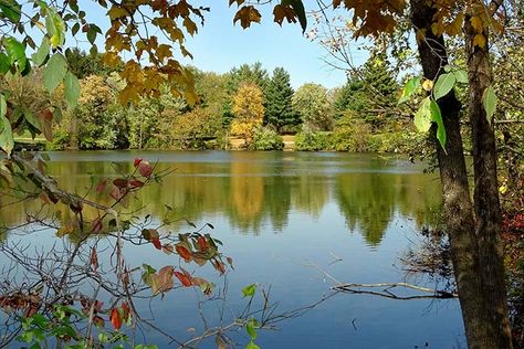 Alum Creek State Park Campground | Ohio Department of Natural Resources Family Boating, Family Boats, Picnic Style, Hocking Hills, Camping Area, Overnight Guests, Natural Resources, Boating, State Park