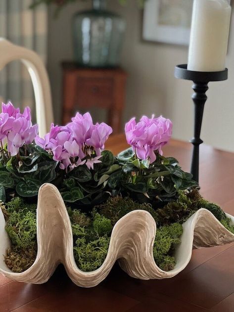 The spring season is almost here! I’m sharing my favorite ideas for spring flower arrangements and displays around your home.Whether you choose fresh flowers or faux, adding spring blooms to your home decor is one of the easiest ways to refresh your home for the season. (This post contains affiliate links, so I may earn a small commission when you make a purchase through links on my site at no additional cost to you. As an Amazon Associate I earn from qualifying purchases.)Spring is… Decorating Tips And Tricks, Halloween Budget, Giant Clam, Embroidered Wall Art, Spring Flower Arrangements, Pink Gerbera, Easter Egg Tree, White Ginger Jars, Hydrangea Not Blooming