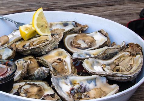 simple steamed oysters recipe Baked Oyster Recipes, Oyster Chowder, Oyster Stew Recipes, Steamed Oysters, Canned Oysters, Oyster Soup, Cooked Oysters, Oyster Stew, Smoked Oysters