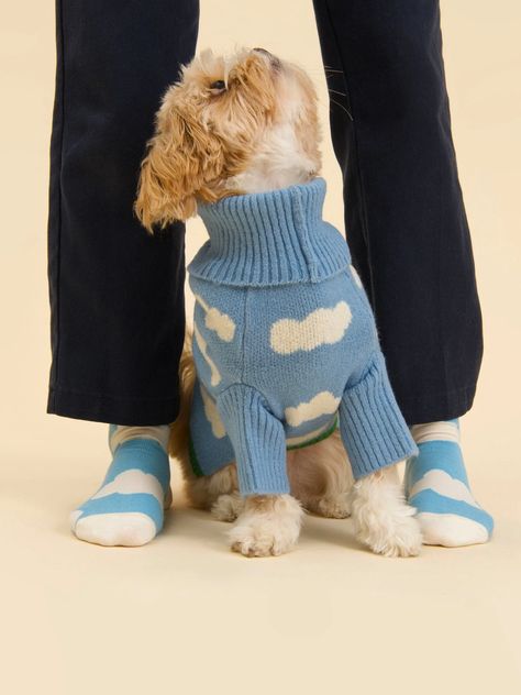 Urban Dog, Frenchie Dog, Pet Spaces, Matching Socks, Dog Photoshoot, Pet Gear, Dog Branding, Dog People, On The Bright Side