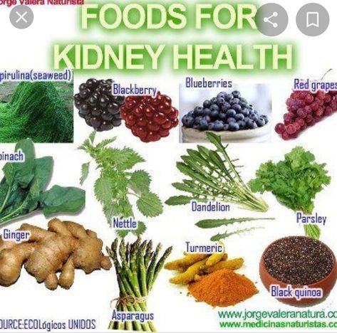 Good For Kidney Health, Foods For Kidney Health, Kidney Healthy Foods, Food For Kidney Health, Kidney Detox Cleanse, Kidney Detox, Kidney Recipes, Healthy Kidneys, Kidney Diet