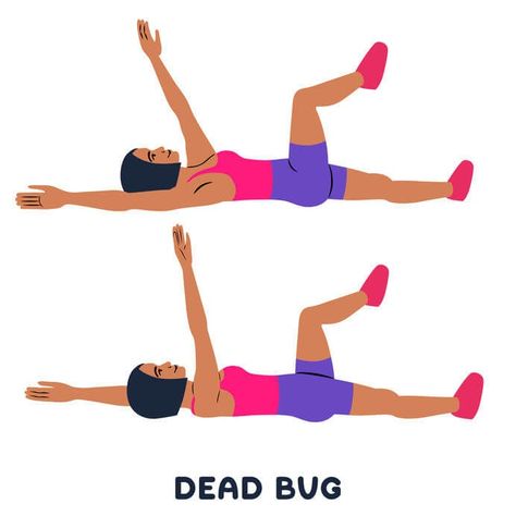 Dead Bug Exercise, Great Ab Workouts, 10 Minute Ab Workout, 10 Minute Abs, Core Strengthening Exercises, Ab Work, Extreme Workouts, Core Training, Inner Core