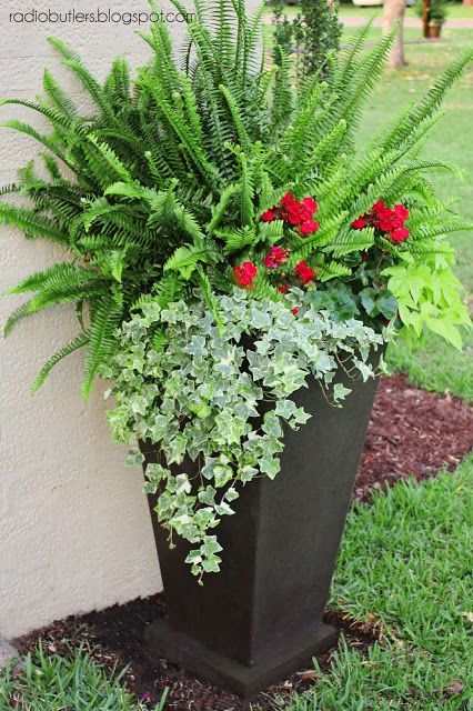 Front Porch Flowers, Cedar Shutters, Porch Flowers, Container Garden Design, Fence Boards, Potato Vines, Old Shutters, Container Gardening Flowers, Cedar Fence