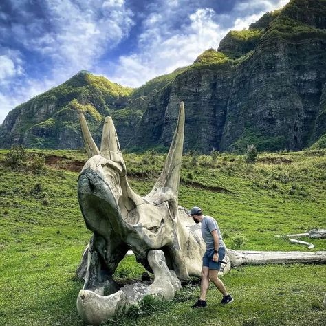 Dino Lover on Instagram: “Follow for daily content!⠀: @i.love.dinosaur . . . . Credit Via : @petelarsontrex . #JurassicWorldDominion #dinosaurday #dinosaur…” Triceratops Fossil, Love Dinosaur, Kualoa Ranch, Tag Someone Who, Jurassic Park, Jurassic World, Tag Someone, Oahu, The Valley