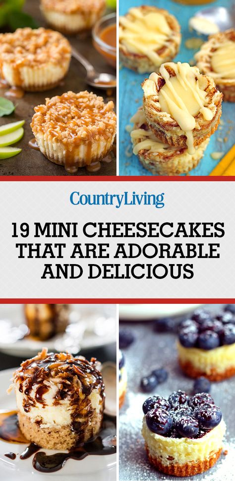 Easy Mini Cheesecake Recipe, Desserts Nutella, Biscotti Cheesecake, Mini Cheesecakes Easy, Smores Dessert, Mini Cheesecake Recipes, Cheesecake Mini, Fruity Cake, Chocolate Chip Cheesecake