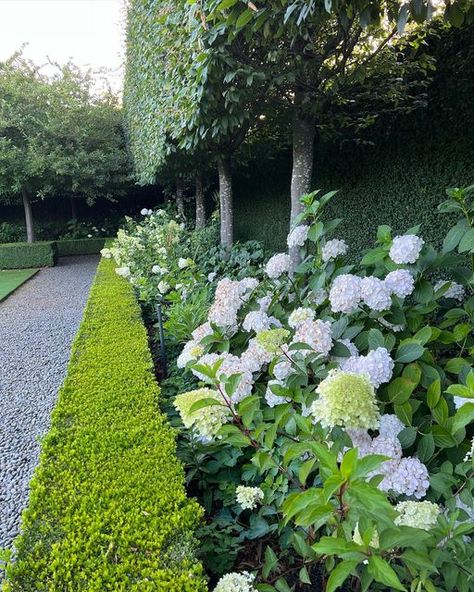 Paul Bangay OAM on Instagram: "Midsummer is hydrangea season at Stonefields" Paul Bangay Stonefields, Paul Bangay Gardens, Rosemary Garden, Hydrangea Season, Terrace Garden Ideas, Garden Inspo, Purple Plants, Hydrangea Garden, Farm Garden