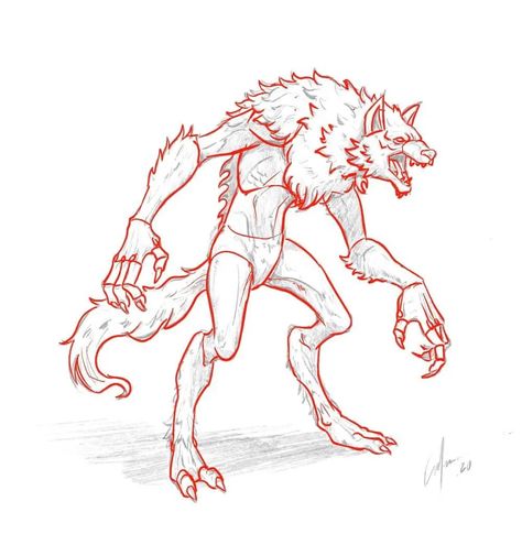 Pose Reference Werewolf, Werewolf Drawing Tutorial, Werewolf Body Reference, How To Draw Werewolf, Werewolf Base, Anthro Poses, Rib Cage Drawing, Werewolf Drawing, Hairstyle Drawing