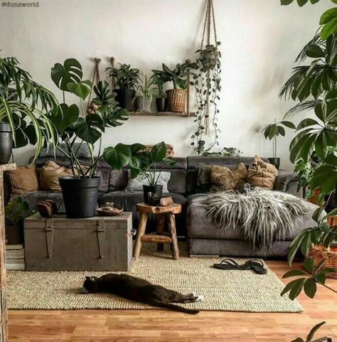 Lots Of Plants, Indoor Design, Decor Guide, Retro Home Decor, Rustic Bedroom, Inspired Living, Stand Design, A Living Room, Retro Home